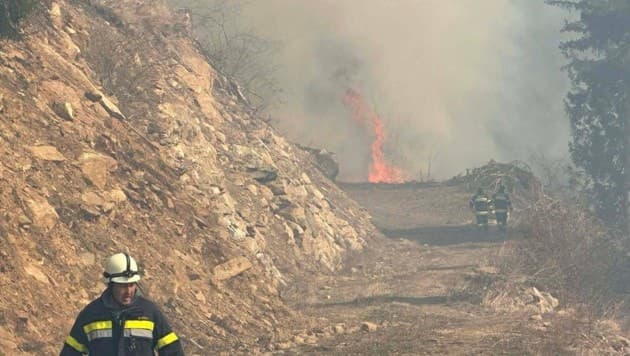 Wind trieb Flammen eines Waldbrandes weiter