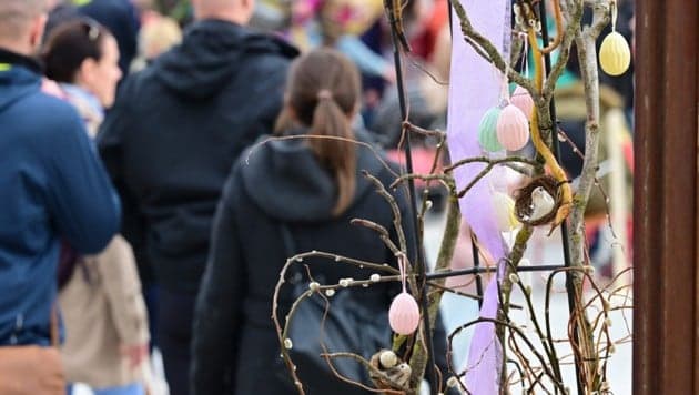 Muss Begleitperson an Kassa vollen Preis zahlen?