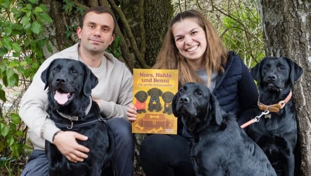 Drei Welpen auf Schatzsuche