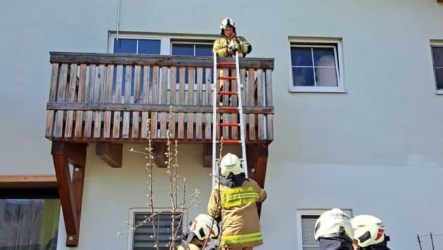 Tagelang ausgesperrt: Katze von Balkon gerettet