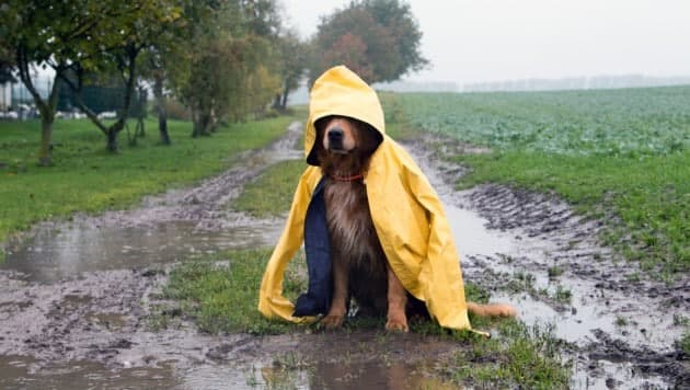 Regen und Schnee: Nächste Kaltfront im Anmarsch