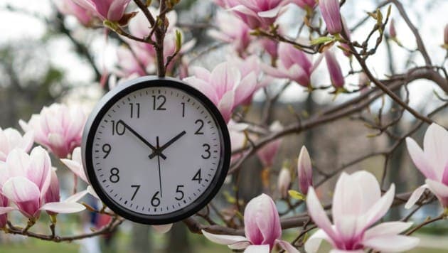 Die Zeitumstellung geht uns allen auf den Wecker